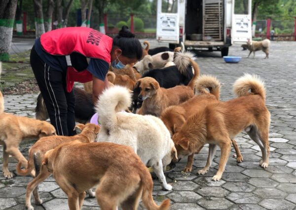 Education Support for Underprivileged Children